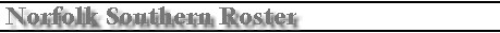 nsrst.jpg (5997 bytes)