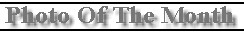 t-photo.jpg



                (4583 bytes)