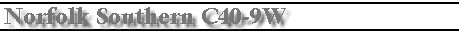 c40-9w.jpg (6106 bytes)