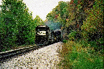 8066.gif (16087 bytes)