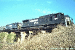 8619.gif (12856 bytes)