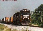 8793.gif (12538 bytes)
