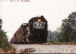 7017.gif (11246 bytes)