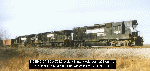 7082.gif (7880 bytes)