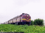 sus01.gif (9976 bytes)