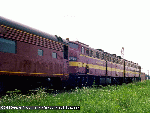sus07.gif (10295 bytes)