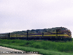 sus08.gif (10087 bytes)