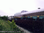 sus09.gif (10675 bytes)