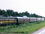 sus11.gif (12162 bytes)